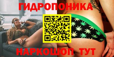 мяу мяу мука Аргун