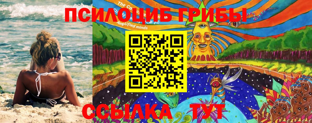 Псилоцибиновые грибы Cubensis  Псилоцибиновые грибы GOLDEN TEACHER  Вход с VPN  Березники 